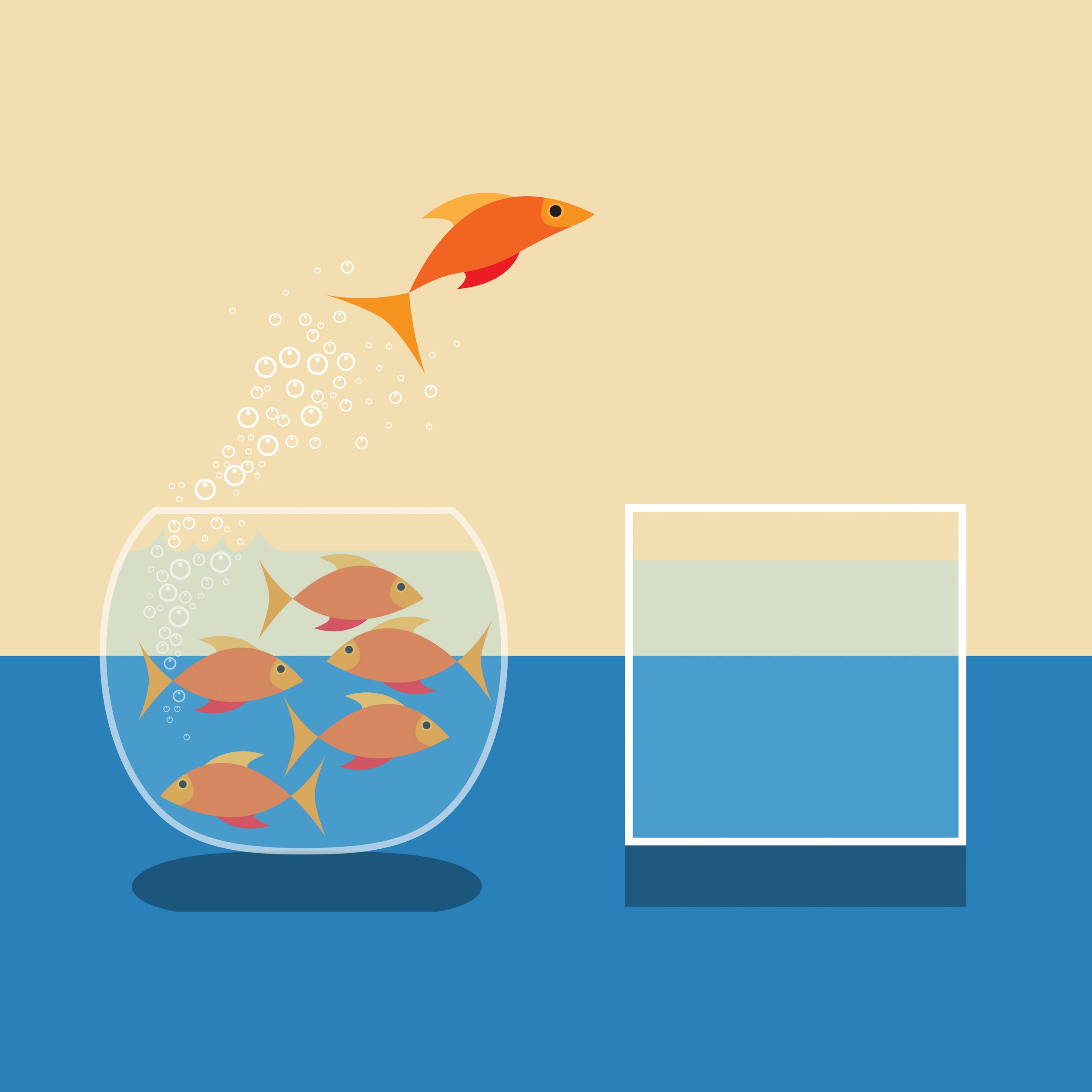 fish jumping out of water vector